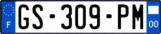 GS-309-PM