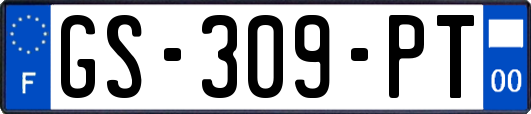 GS-309-PT