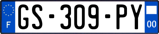 GS-309-PY