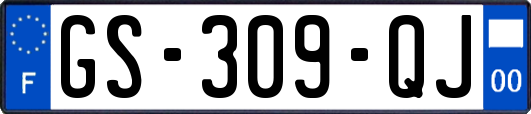 GS-309-QJ