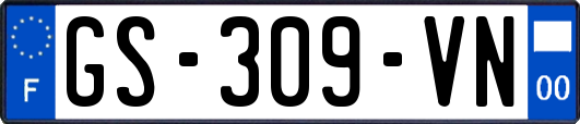 GS-309-VN