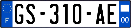 GS-310-AE