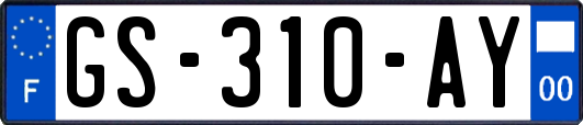 GS-310-AY