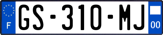 GS-310-MJ