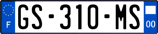 GS-310-MS