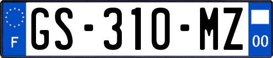 GS-310-MZ