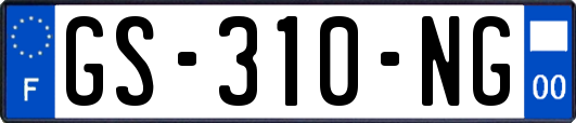 GS-310-NG