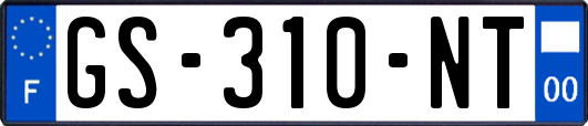 GS-310-NT