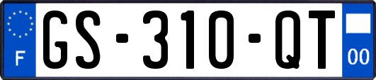 GS-310-QT