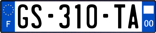 GS-310-TA