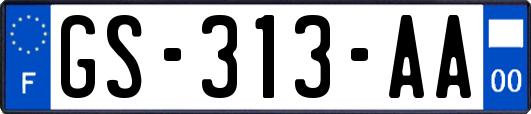 GS-313-AA