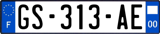 GS-313-AE