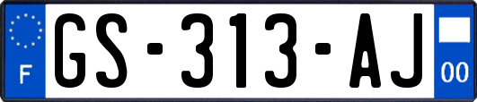 GS-313-AJ