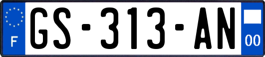 GS-313-AN