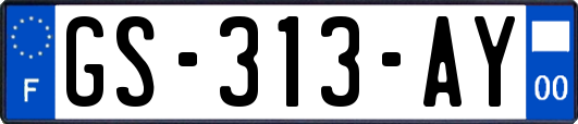 GS-313-AY