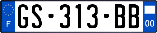 GS-313-BB