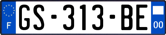 GS-313-BE