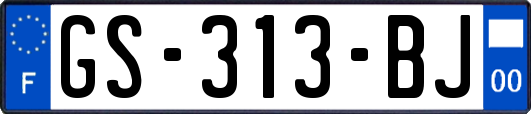 GS-313-BJ