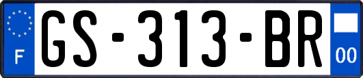 GS-313-BR