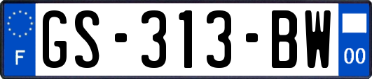 GS-313-BW