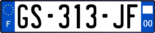 GS-313-JF