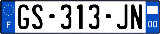 GS-313-JN