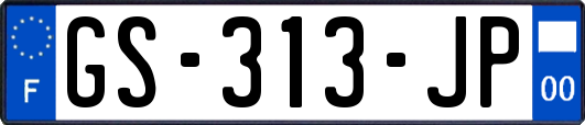 GS-313-JP