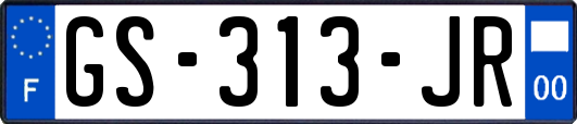 GS-313-JR
