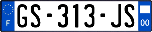 GS-313-JS
