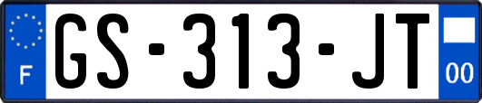 GS-313-JT