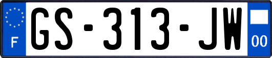 GS-313-JW