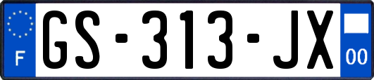 GS-313-JX