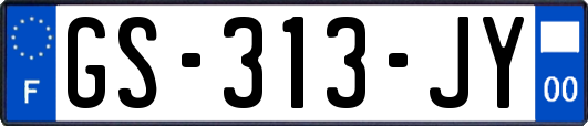 GS-313-JY