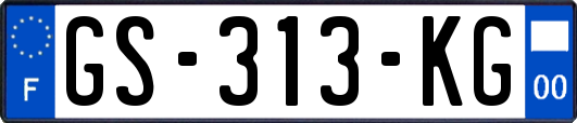 GS-313-KG