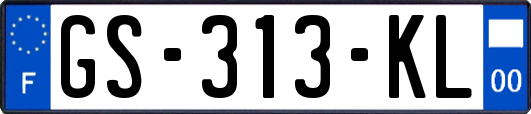 GS-313-KL