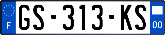 GS-313-KS