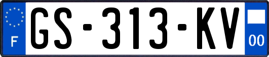 GS-313-KV