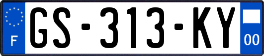 GS-313-KY