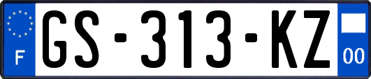 GS-313-KZ