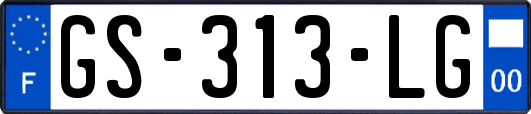 GS-313-LG