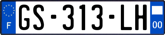 GS-313-LH