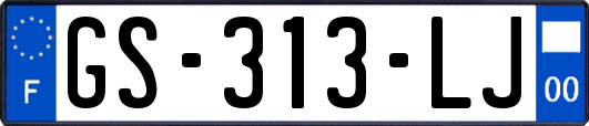 GS-313-LJ