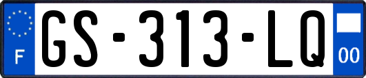 GS-313-LQ