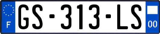 GS-313-LS