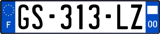 GS-313-LZ