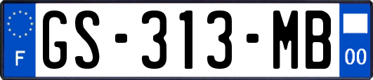 GS-313-MB