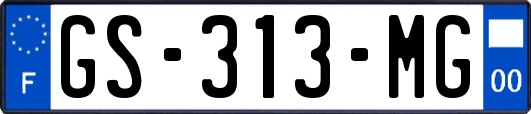 GS-313-MG