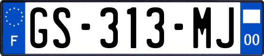 GS-313-MJ