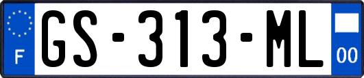 GS-313-ML