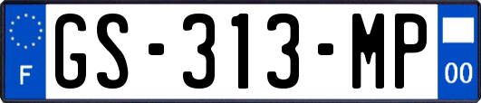 GS-313-MP